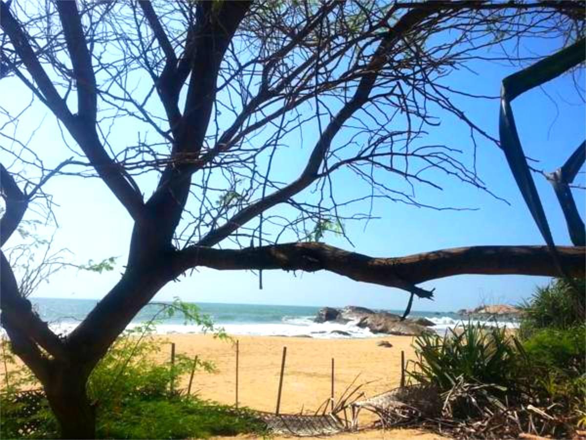 Nikara Yala Beach Villas - Srilanka Kirinda  Zewnętrze zdjęcie