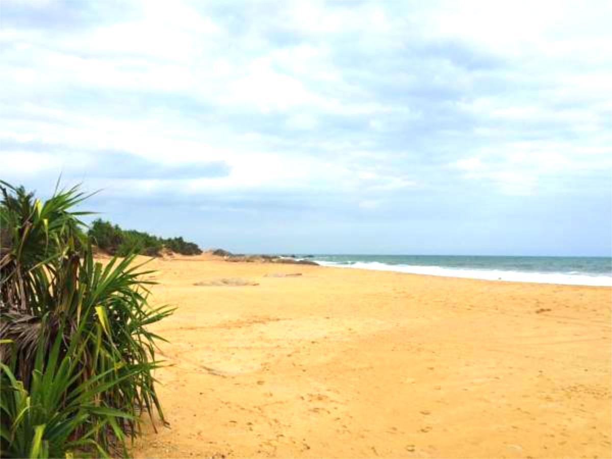 Nikara Yala Beach Villas - Srilanka Kirinda  Zewnętrze zdjęcie